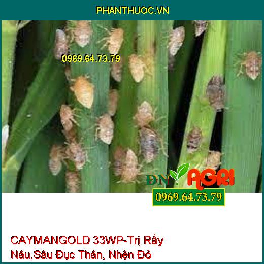 CAYMANGOLD 33WP-Trị Rầy Nâu,Sâu Đục Thân, Nhện Đỏ