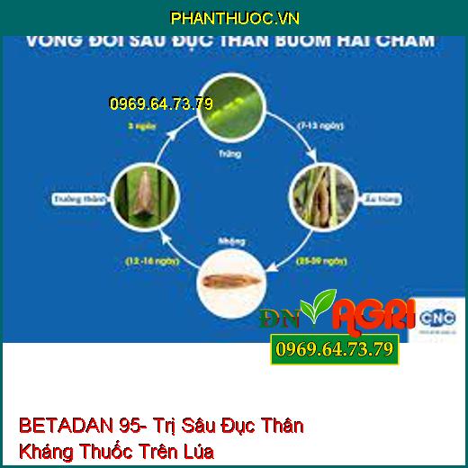 BETADAN 95- Trị Sâu Đục Thân Kháng Thuốc Trên Lúa