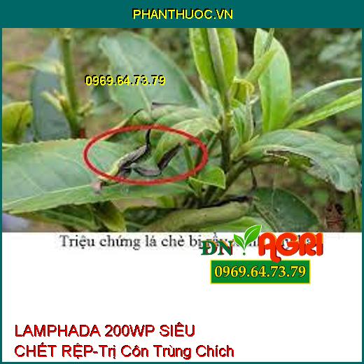 LAMPHADA 200WP SIÊU CHẾT RỆP-Trị Côn Trùng Chích Hút