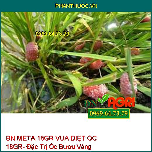 BN META 18GR VUA DIỆT ỐC 18GR- Đặc Trị Ốc Bươu Vàng