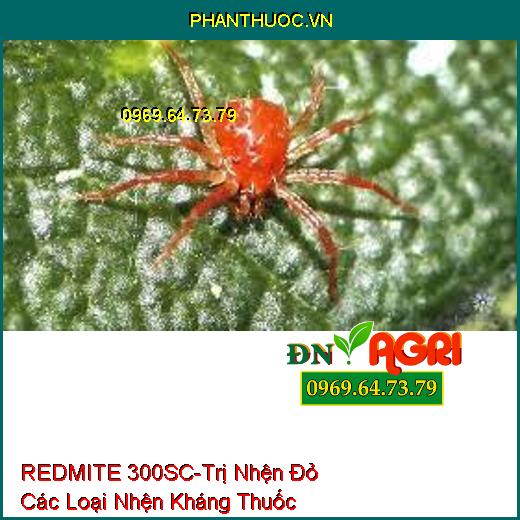 REDMITE 300SC-Trị Nhện Đỏ Các Loại Nhện Kháng Thuốc