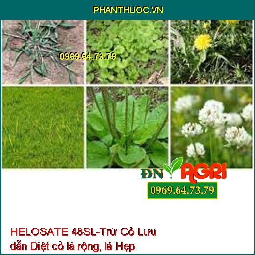 HELOSATE 48SL-Trừ Cỏ Lưu dẫn Diệt cỏ lá rộng, lá Hẹp