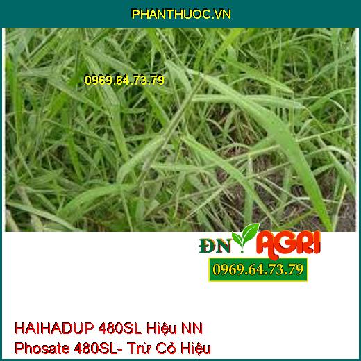 HAIHADUP 480SL Hiệu NN Phosate 480SL- Trừ Cỏ Hiệu Qủa