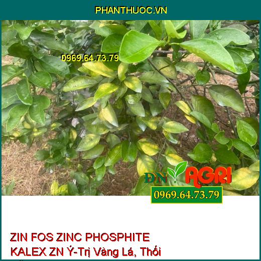 ZIN FOS ZINC PHOSPHITE KALEX ZN Ý-Trị Vàng Lá, Thối Rễ