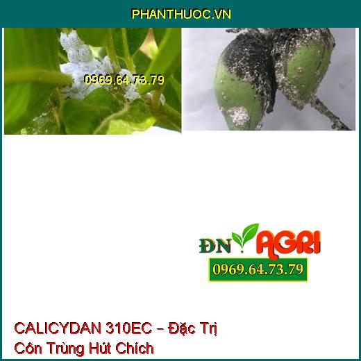 CALICYDAN 310EC – Đặc Trị Côn Trùng Hút Chích