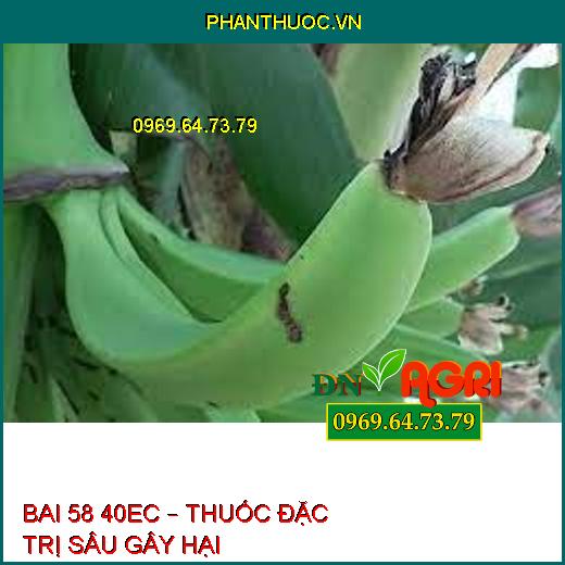 BAI 58 40EC – THUỐC ĐẶC TRỊ SÂU GÂY HẠI