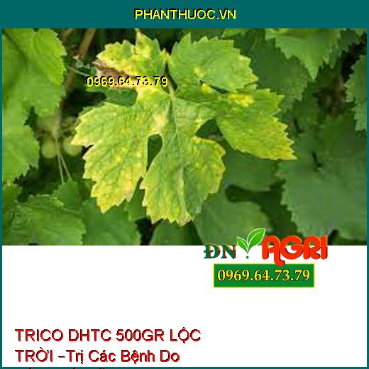 TRICO DHTC 500GR LỘC TRỜI –Trị Các Bệnh Do Nấm,Thối Rễ