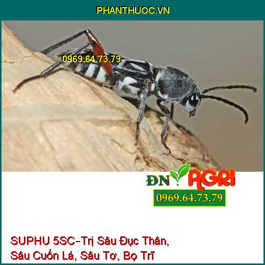 SUPHU 5SC–Trị Sâu Đục Thân, Sâu Cuốn Lá, Sâu Tơ, Bọ Trĩ