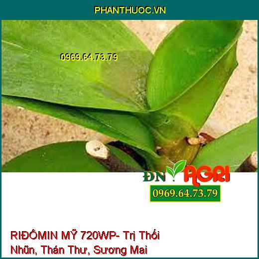 RIĐÔMIN MỸ 720WP- Trị Thối Nhũn, Thán Thư, Sương Mai