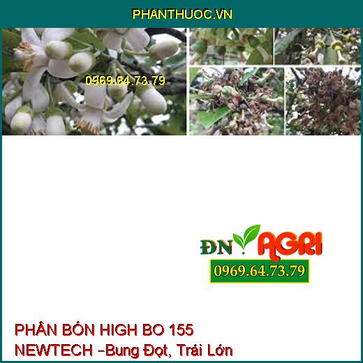 PHÂN BÓN HIGH BO 155 NEWTECH –Bung Đọt, Trái Lớn