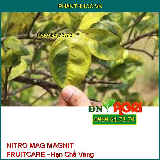 NITRO MAG MAGNIT FRUITCARE –Hạn Chế Vàng Lá,Rụng Lá