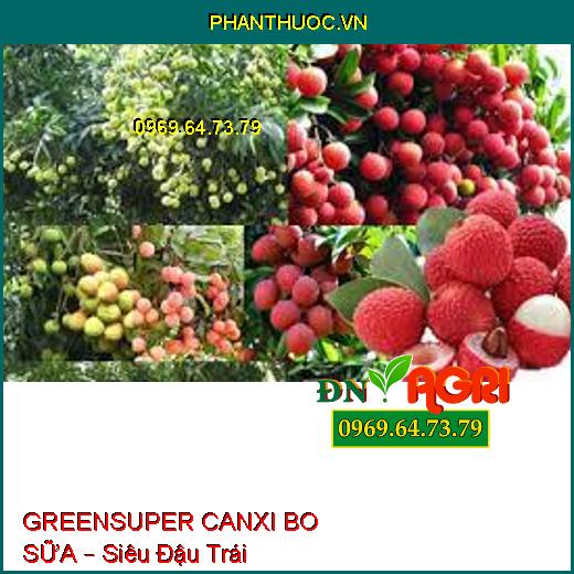 GREENSUPER CANXI BO SỮA – Siêu Đậu Trái