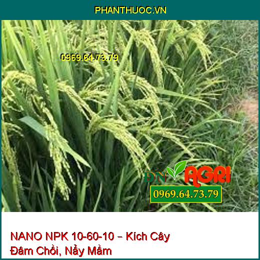 NANO NPK 10-60-10 – Kích Cây Đâm Chồi, Nẩy Mầm