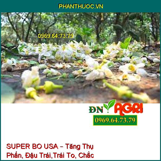 SUPER BO USA – Tăng Thụ Phấn, Đậu Trái,Trái To, Chắc Hạt