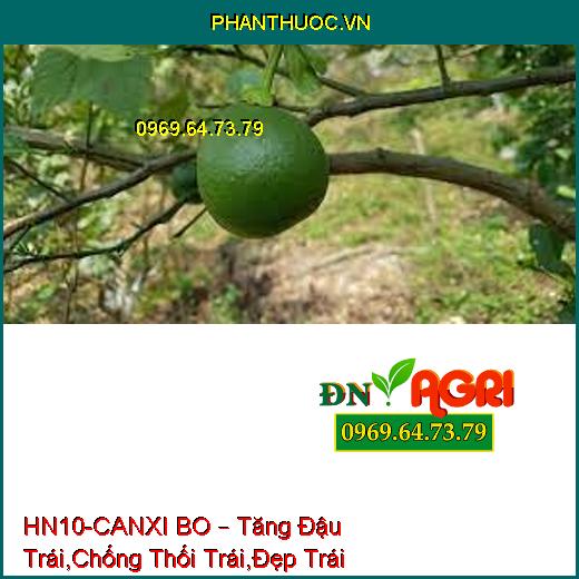 HN10-CANXI BO – Tăng Đậu Trái,Chống Thối Trái,Đẹp Trái