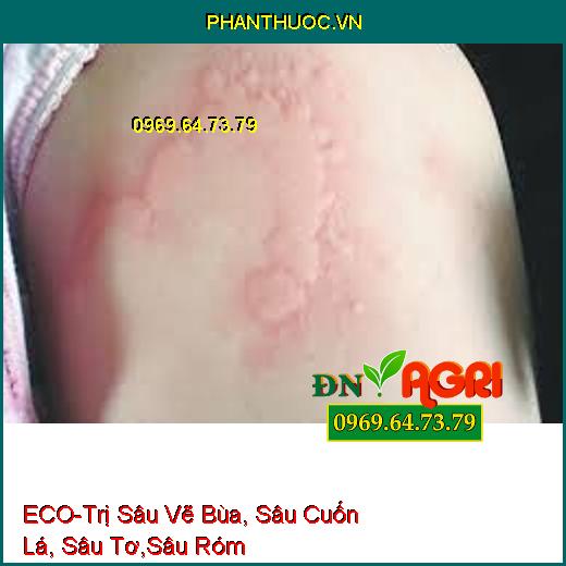 ECO-Trị Sâu Vẽ Bùa, Sâu Cuốn Lá, Sâu Tơ,Sâu Róm