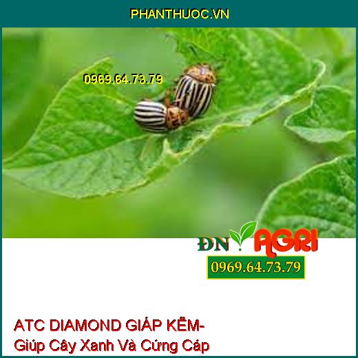 ATC DIAMOND GIÁP KẼM- Giúp Cây Xanh Và Cứng Cáp