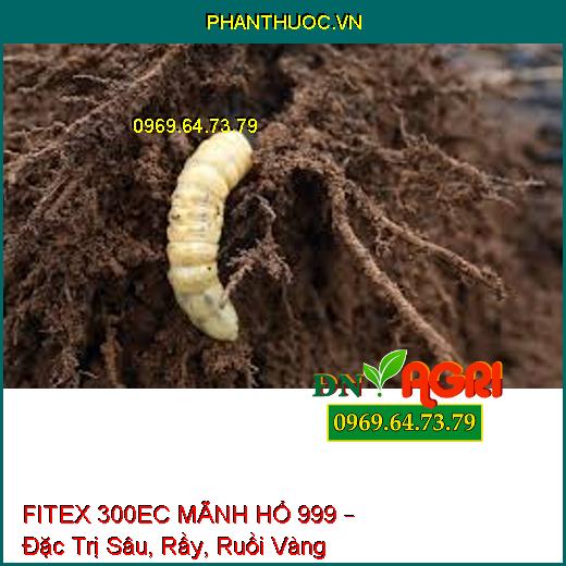 FITEX 300EC MÃNH HỔ 999 – Đặc Trị Sâu, Rầy, Ruồi Vàng