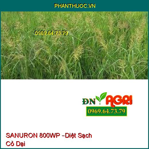 SANURON 800WP –Diệt Sạch Cỏ Dại