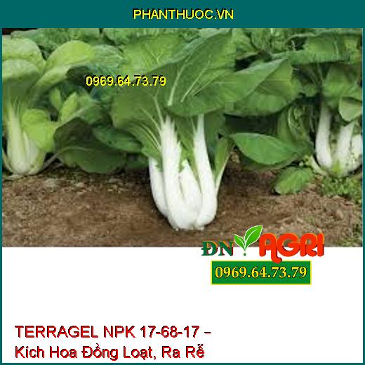 TERRAGEL NPK 17-68-17 – Kích Hoa Đồng Loạt, Ra Rễ