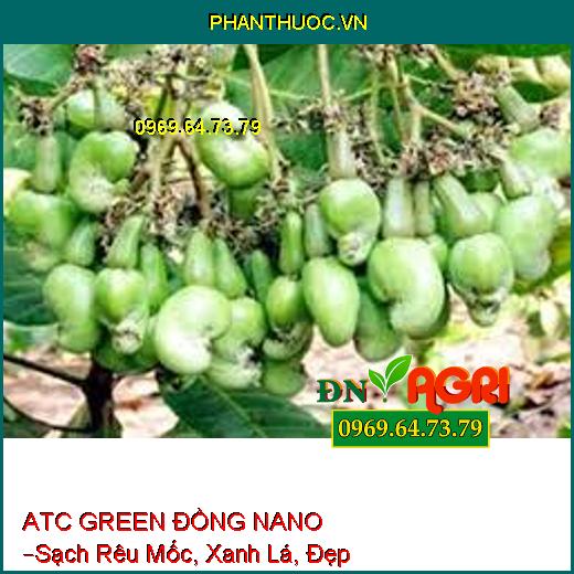 ATC GREEN ĐỒNG NANO –Sạch Rêu Mốc, Xanh Lá, Đẹp Trái