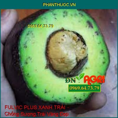 FULVIC PLUS XANH TRÁI – Chống Sượng,Trái Vàng Đẹp