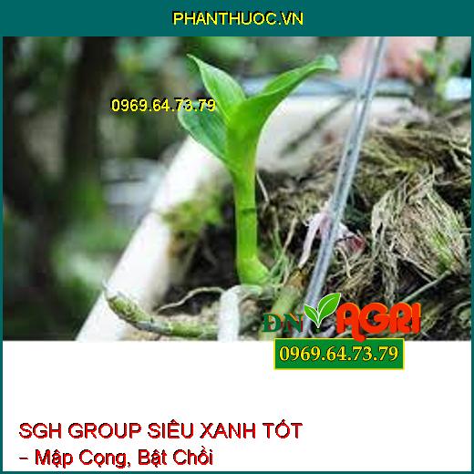 SGH GROUP SIÊU XANH TỐT – Mập Cọng, Bật Chồi