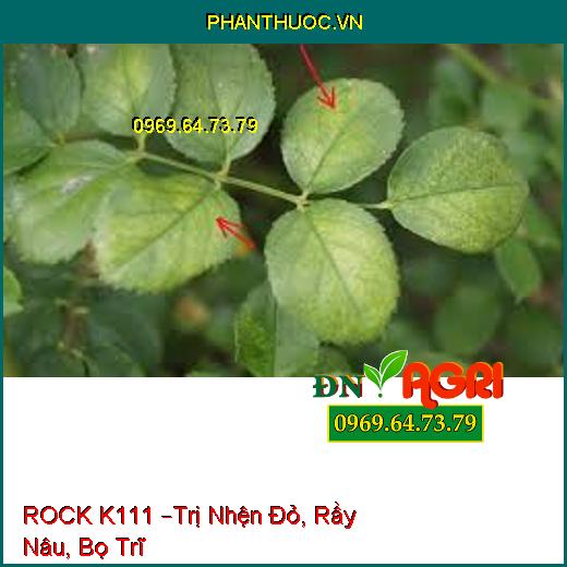 ROCK K111 –Trị Nhện Đỏ, Rầy Nâu, Bọ Trĩ