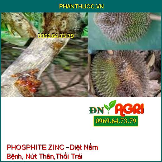 PHOSPHITE ZINC –Diệt Nấm Bệnh, Nứt Thân,Thối Trái