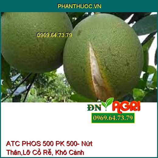 ATC PHOS 500 PK 500- Nứt Thân,Lỡ Cổ Rễ, Khô Cành