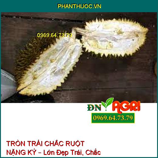 TRÒN TRÁI CHẮC RUỘT NẶNG KÝ – Lớn Đẹp Trái, Chắc Hạt