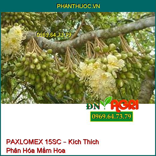 PAXLOMEX 15SC – Kích Thích Phân Hóa Mầm Hoa