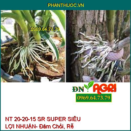 NT 20-20-15 SR SUPER SIÊU LỢI NHUẬN- Đâm Chồi, Rễ