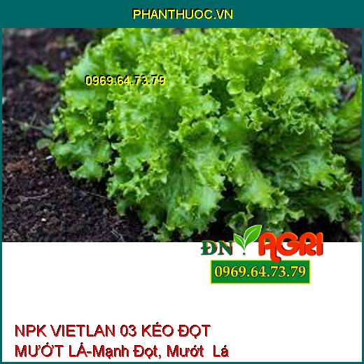 NPK VIETLAN 03 KÉO ĐỌT MƯỚT LÁ-Mạnh Đọt, Mướt Lá