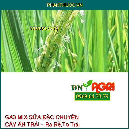 GA3 MIX SỮA ĐẶC CHUYÊN CÂY ĂN TRÁI – Ra Rễ,To Trái