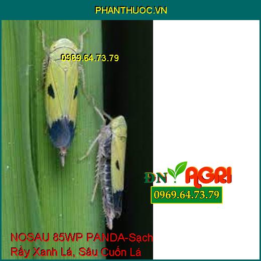 NOSAU 85WP PANDA-Sạch Rầy Xanh Lá, Sâu Cuốn Lá