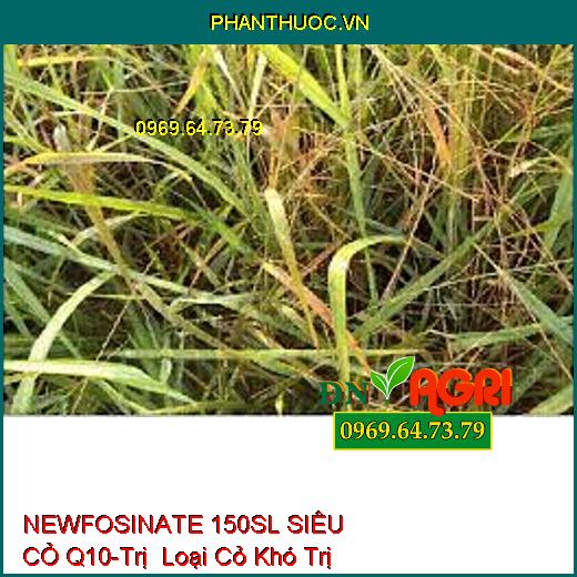 NEWFOSINATE 150SL SIÊU CỎ Q10-Trị Loại Cỏ Khó Trị