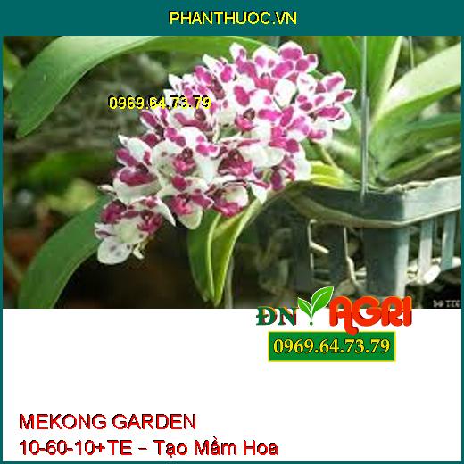 MEKONG GARDEN 10-60-10+TE – Tạo Mầm Hoa