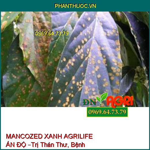 MANCOZED XANH AGRILIFE ẤN ĐỘ –Trị Thán Thư, Bệnh Ghẻ