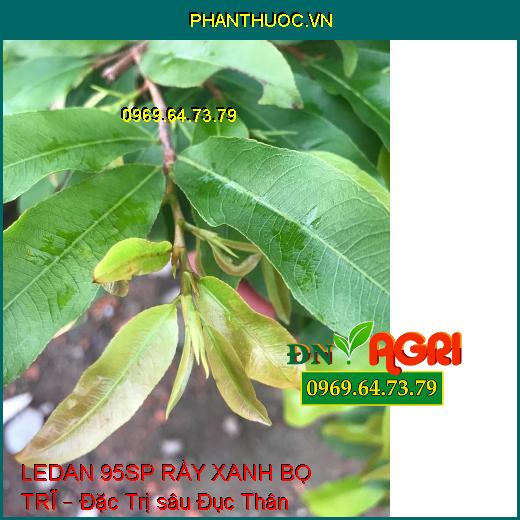 LEDAN 95SP RẦY XANH BỌ TRĨ – Đặc Trị sâu Đục Thân