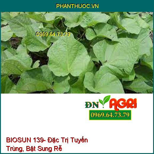 BIOSUN 139- Đặc Trị Tuyến Trùng, Bật Sung Rễ