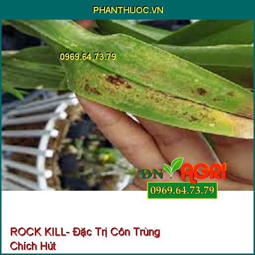 ROCK KILL- Đặc Trị Côn Trùng Chích Hút