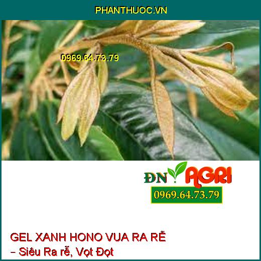 GEL XANH HONO VUA RA RỄ – Siêu Ra rễ, Vọt Đọt