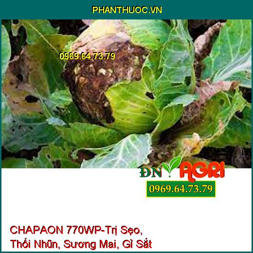 CHAPAON 770WP-Trị Sẹo, Thối Nhũn, Sương Mai, Gỉ Sắt