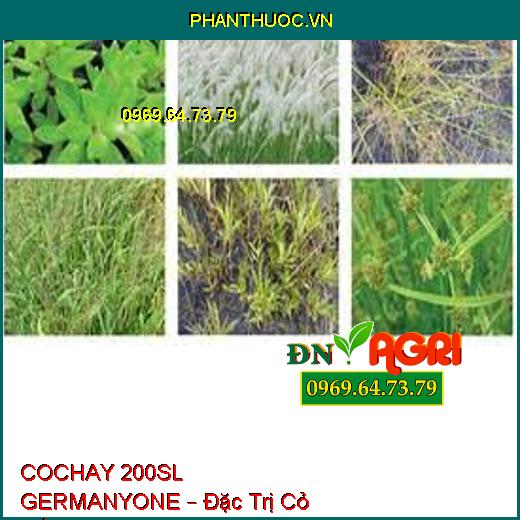 COCHAY 200SL GERMANYONE – Đặc Trị Cỏ Gấu, Cỏ Chỉ