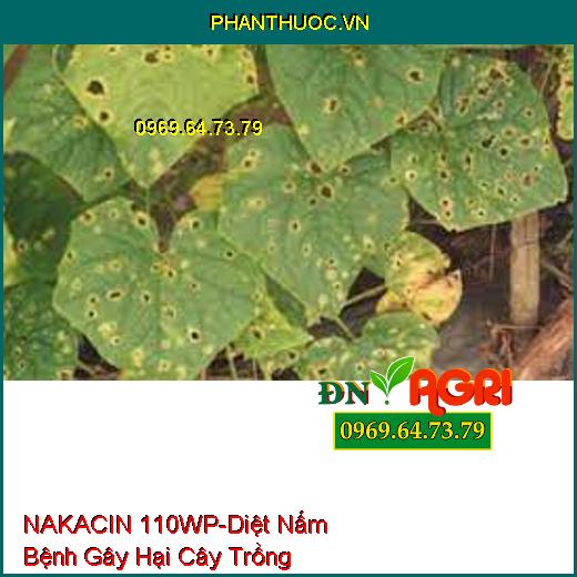 NAKACIN 110WP-Diệt Nấm Bệnh Gây Hại Cây Trồng