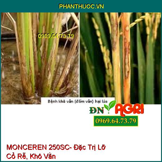 MONCEREN 250SC- Đặc Trị Lỡ Cổ Rễ, Khô Vằn