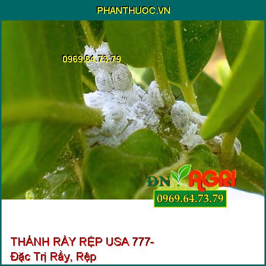 THÁNH RẦY RỆP USA 777- Đặc Trị Rầy, Rệp