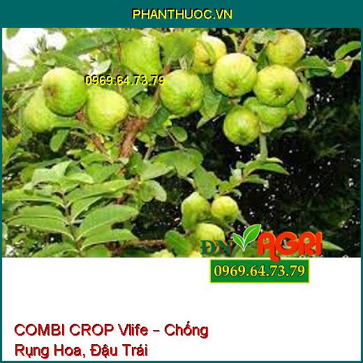 COMBI CROP Vlife – Chống Rụng Hoa, Đậu Trái