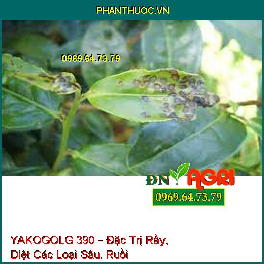 YAKOGOLG 390 – Đặc Trị Rầy, Diệt Các Loại Sâu, Ruồi